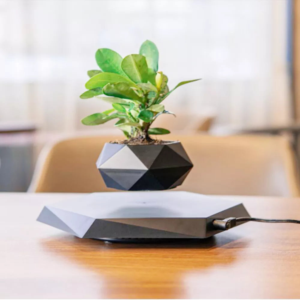 Floating bonsai pot